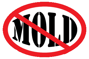 Mold Free