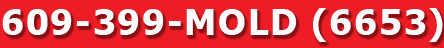 609-399-MOLD (6653)